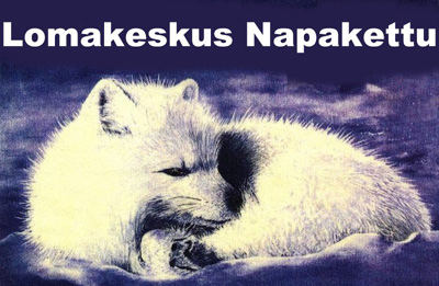 napakettu_logo.jpg