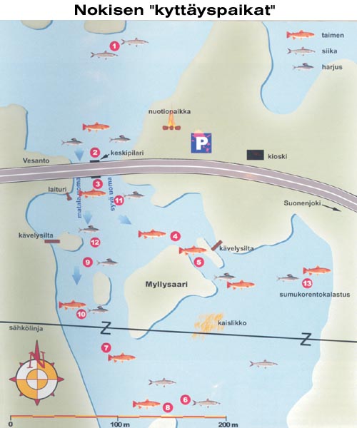 nokisenkoski.jpg