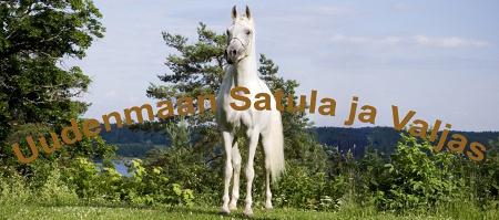 UudenmaanSatulaxLogo.jpg